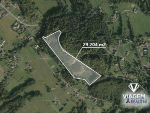 Prodej lesa, Bystřice, 29204 m2