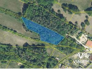 Prodej podílu lesa, Olešnice, 292 m2