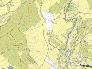 Prodej podílu lesa, Zlatá Olešnice, 569 m2