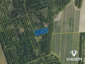 Prodej podílu lesa, Břehov, 3796 m2