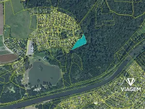 Prodej podílu lesa, Přerov, 1028 m2