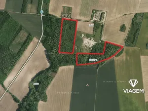 Prodej podílu lesa, Břežany, 7363 m2