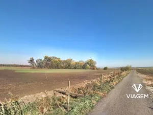 Prodej podílu pole, Volárna, 2514 m2