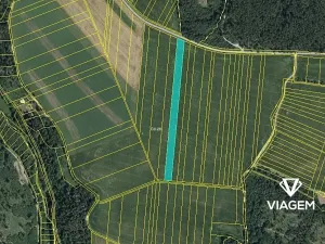 Prodej podílu pole, Suchdol, 2744 m2