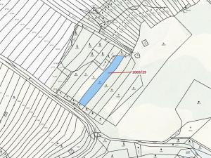 Dražba lesa, Ivančice, 1130 m2