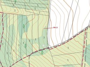 Dražba lesa, Moravské Budějovice, 3604 m2