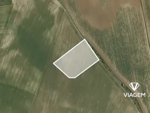 Prodej pole, Vinařice, 9786 m2