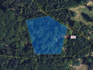 Dražba lesa, Vranová Lhota, 5323 m2