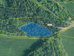 Dražba lesa, Kuřimany, 3255 m2