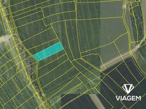 Prodej podílu pole, Radějovice, 755 m2