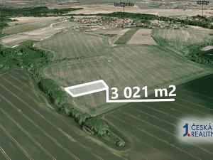 Prodej podílu pole, Radějovice, 755 m2