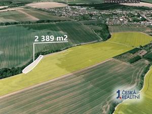 Prodej pole, Morkovice-Slížany, 2389 m2
