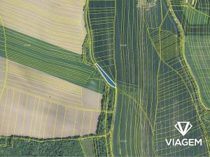 Prodej pole, Morkovice-Slížany, 2389 m2