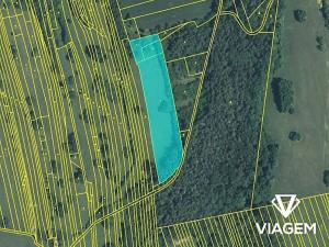 Prodej podílu pole, Kněždub, 6049 m2