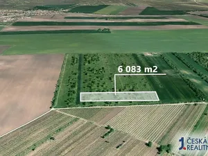 Prodej podílu pole, Hrušky, 912 m2