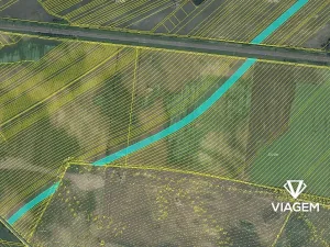 Prodej podílu pole, Hrušky, 982 m2