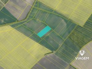 Prodej podílu pole, Roštění, 1196 m2