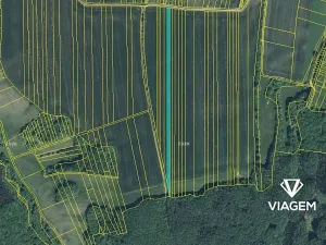 Prodej podílu pole, Nedachlebice, 644 m2