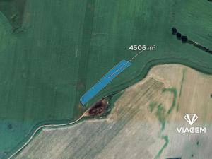 Prodej podílu pole, Čejetice, 1126 m2