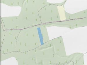 Prodej lesa, Blížejov - Lštění, 4152 m2