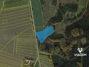 Prodej podílu pole, Dlouhá Brtnice, 900 m2