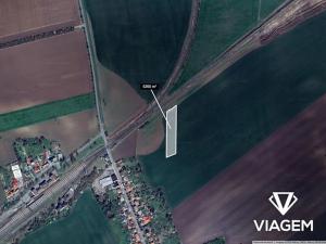 Prodej pole, Víceměřice, 5260 m2