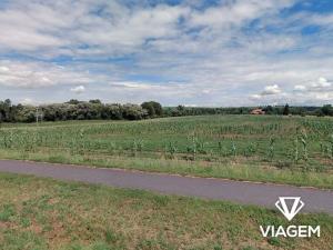 Prodej pole, Víceměřice, 5054 m2