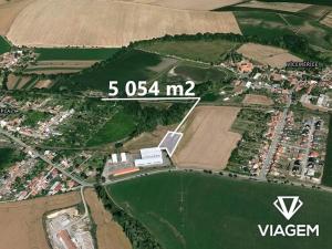 Prodej pole, Víceměřice, 5054 m2