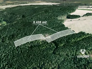 Prodej podílu lesa, Manětín, 4219 m2