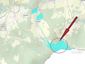 Prodej podílu lesa, Šanov, 16106 m2