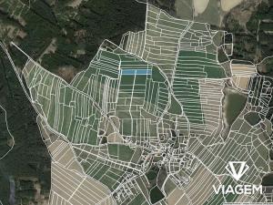 Prodej podílu pole, Tučapy, 1569 m2