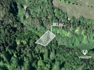 Prodej lesa, Buková, 981 m2