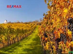 Prodej pozemku pro bydlení, Novosedly, 2412 m2