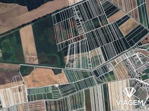 Prodej podílu pole, Milotice, 377 m2