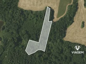 Prodej lesa, Těškovice, 5485 m2