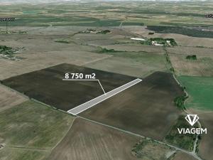 Prodej pole, Veliká Ves, 8750 m2