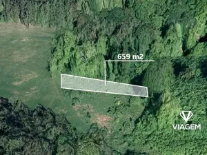 Prodej lesa, Vlachovice, 659 m2
