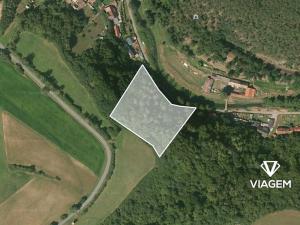 Prodej podílu lesa, Chlum, 1311 m2