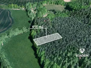 Prodej lesa, Vlkančice, 611 m2