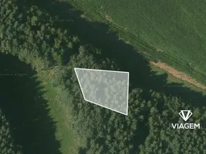 Prodej podílu lesa, Krásná Hora, Kojkovice, 598 m2