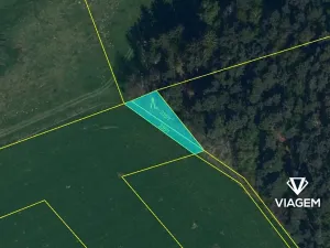 Prodej podílu lesa, Krásná Hora, Kojkovice, 598 m2