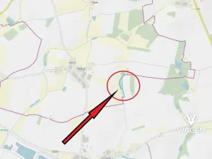 Prodej podílu lesa, Olešník, 647 m2