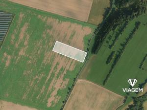 Prodej podílu lesa, Chornice, 2160 m2