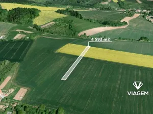 Prodej podílu lesa, Sebranice, 2296 m2