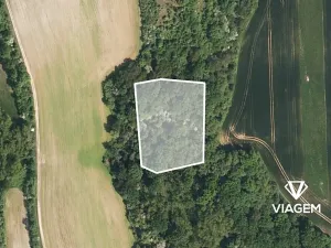 Prodej podílu lesa, Kudlovice, 4108 m2