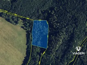 Prodej podílu pole, Dolní Újezd, 2898 m2