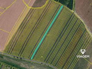 Prodej podílu pole, Kuchařovice, 2403 m2