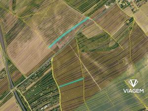 Prodej podílu pole, Kuchařovice, 1272 m2