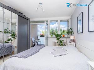 Prodej bytu 3+1, Frýdek-Místek, 17. listopadu, 77 m2