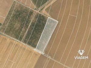 Prodej podílu pole, Chotiněves, 3468 m2